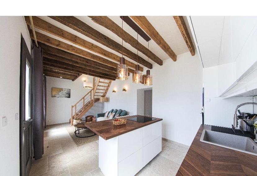 L'Evasion-Spa-Hammam-Sauna Illimite - 2 A 4 Pers Saint-Cyr-sur-Loire Dış mekan fotoğraf