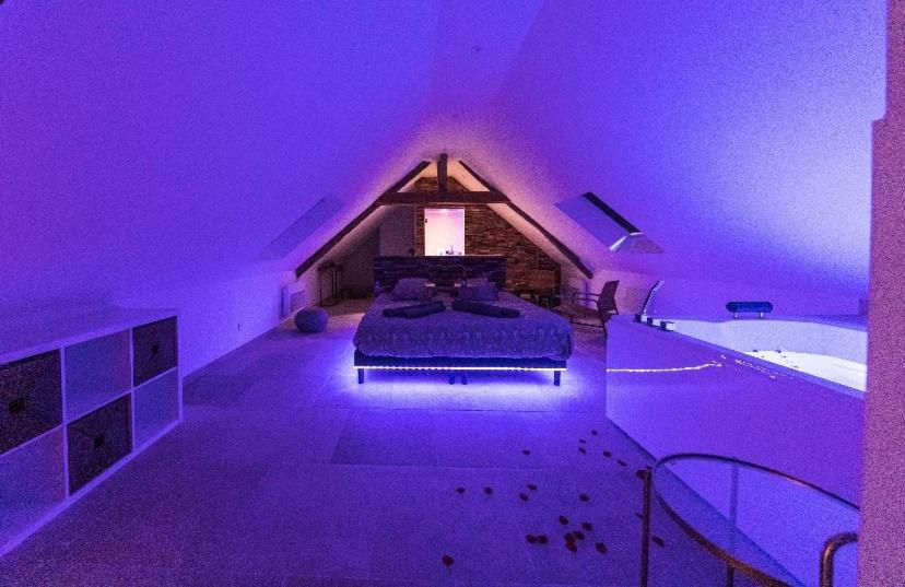 L'Evasion-Spa-Hammam-Sauna Illimite - 2 A 4 Pers Saint-Cyr-sur-Loire Dış mekan fotoğraf