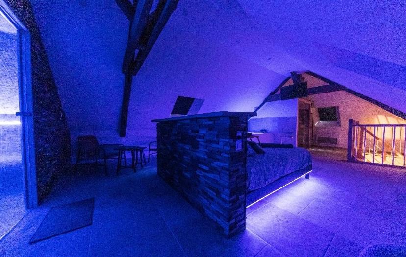 L'Evasion-Spa-Hammam-Sauna Illimite - 2 A 4 Pers Saint-Cyr-sur-Loire Dış mekan fotoğraf
