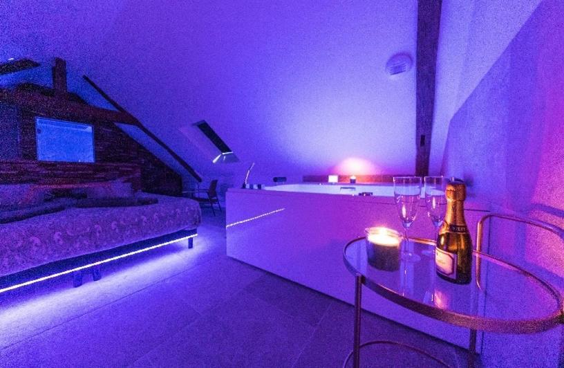 L'Evasion-Spa-Hammam-Sauna Illimite - 2 A 4 Pers Saint-Cyr-sur-Loire Dış mekan fotoğraf